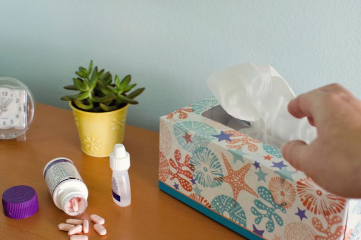 Papirne maramice, sprej za nos i tablete za alergiju na ambroziju.